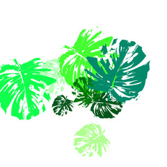 Wall Mural - set of green leaves