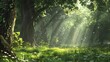 © Galib - A magical forest scene with sunbeams streaming through the trees and white flowers on the forest floor.