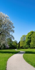 Poster - A path winds through a park with trees and a blue sky. The path is lined with trees and the sky is clear and bright