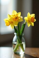 Wall Mural - Narcissus flowers in small glass cup on a table, vase, branch, stem