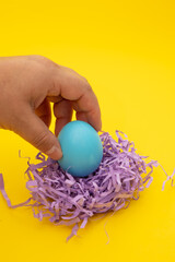 Vertical image of female hand placing a blue egg on top of a purple nest on a yellow background, Easter crafts