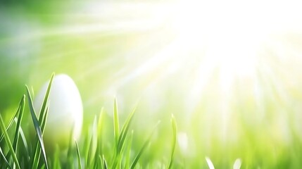 Wall Mural - Sunlight Kissed Easter Egg Hiding in Lush Green Grass Symbolizing Spring Season and New Beginnings