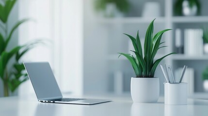 Wall Mural - Minimalist workspace with laptop and indoor plant