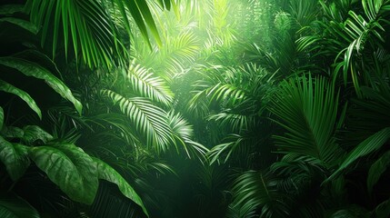 Wall Mural - Lush Green Tropical Jungle with Sunlight Filtering Through Foliage