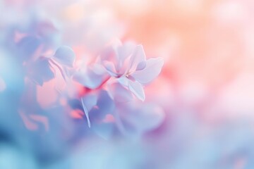 Poster - Pastel Pink and Blue Flower Closeup
