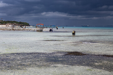 Wall Mural - View of the beach of Zanzibar island