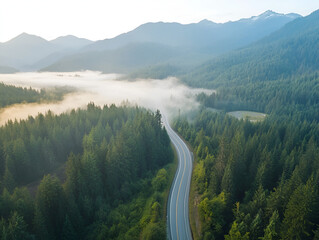 Wall Mural - Misty Mountain Road: An aerial view of a winding road cutting through a lush green forest, with a layer of mist clinging to the valley below and majestic mountains rising in the background.