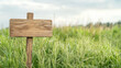 © smth.design - Wooden sign in a lush green field on a cloudy day