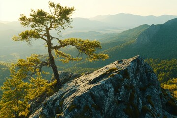 Wall Mural - Breathtaking summer sunset from khojnov mountain in the carpathians with lush greenery and rocks