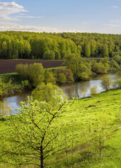 Wall Mural - Lush green field with a river running through it