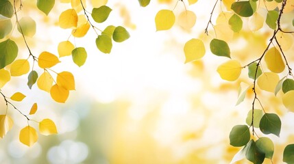 Poster - Golden yellow and green leaves create a bokeh background as sunlight shines through