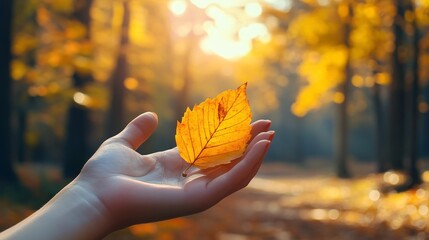 Poster - Woman holding a solitary yellow leaf while savoring a stunning autumn day in the woods