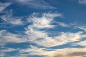 Wall Mural - wispy clouds at sunset