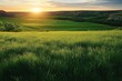 © Bart - A serene rural landscape showcasing lush green rolling hills basking under a golden sunset, exuding a tranquil and picturesque atmosphere reminiscent of pastoral beauty and natural grandeur.