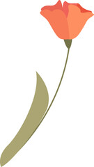 Wall Mural - poppy flower hand drawn