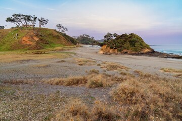 Wall Mural - Coastal New Zealand landscape at dawn. A small, secluded beach with a secluded cabin on a grassy hill. Peaceful morning light. Elliot Bay, Rawhiti, Northland, New Zealand