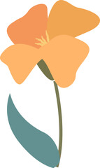 Wall Mural - poppy flower hand drawn