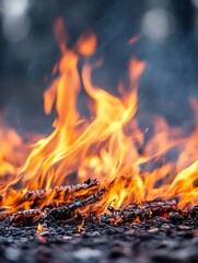 Fototapete - Dynamic Close Up of Flames Rising from Burning Wood in a Campfire : Generative AI