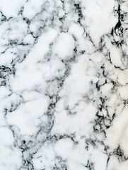 Leinwandbilder - Elegant Black and White Marble Textured Surface Background for Interior Design : Generative AI