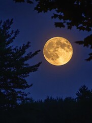 Aufkleber - Full moon illuminating the night sky surrounded by dark silhouettes of trees : Generative AI