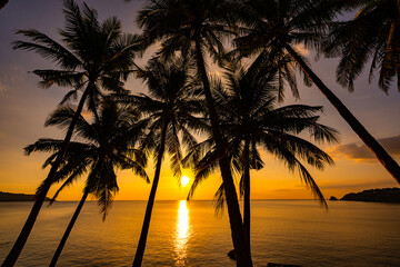 Wall Mural - Silhouette coconut palm trees at sunset or sunrise sky over sea, Amazing colorful light sky nature landscape, Beautiful nature sky and clouds background