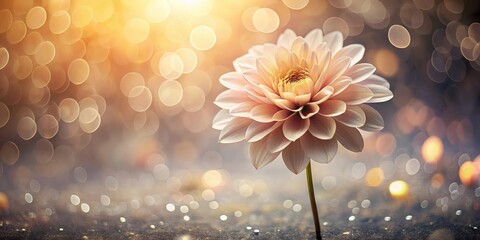 Wall Mural - A Single Delicate Blossom Basking in Warm, Golden Light Against a Sparkling Background