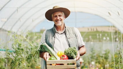 Wall Mural - Mature man, basket and harvest in greenhouse, farming and smile with sustainability in summer. Person, happy and portrait with food production, agriculture and nursery for vegetables in Australia