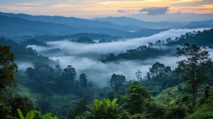 Wall Mural - Misty mountain sunrise over lush valley, travel poster