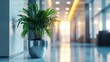 © minahus - Modern Office Interior with Lush Green Plant in a Sleek Metal Pot