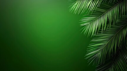 Wall Mural - Lush Green Palm Leaves on Vibrant Background for Nature Visuals