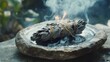 © timurlan999 - White sage bundle burning with crystals and smoke on dark background