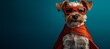 © Azis Stock - Super dog hero pose, teal background. Fun pet image