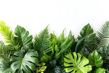 Canvas Print - Lush tropical foliage border on white background