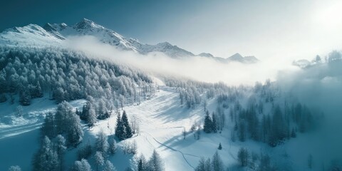 Wall Mural - Winter landscape featuring snow-covered mountains with frosty trees in the foreground, soft fog rolling through the valley under a clear blue sky.