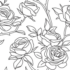 Aufkleber - Seamless pattern with abstract line garden rose with leaves. Blossoming outline flowers on white background. Vintage floral hand drawn wallpaper. Vector stock illustration.