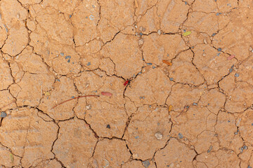 dry cracked earth