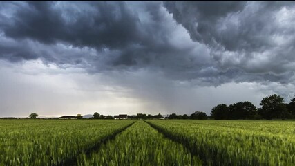 Poster - Time lapse of Thunderstorm - Dark ominous storm clouds above green wheat landscape field. Adverse weather conditions. Climate change. Wallpaper force of nature. Discover the beauty of earth.