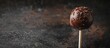 © Mehemmed - Vintage chocolate cake pop on a stick, dark glossy chocolate coating, decorated with chocolate shavings, set against a textured shadowy background.