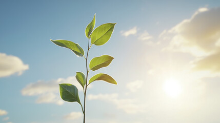 Wall Mural - young plant with vibrant green leaves reaches towards bright sky, symbolizing growth and hope