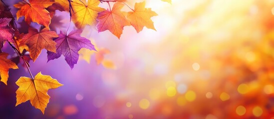 Fototapete - Vibrant autumn leaves in shades of orange and purple, softly blurred background with warm golden light creating a dreamy fall atmosphere.