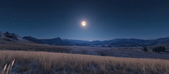 Leinwandbilder - Serene Night Landscape with Bright Full Moon Casting Soft Glow Over Rolling Hills and Golden Grass Under Dark Blue Sky