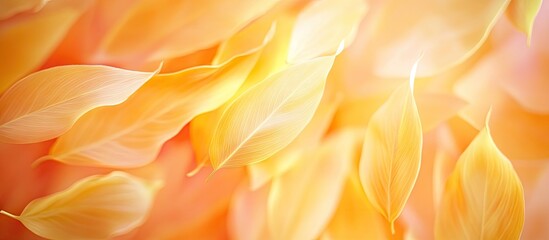 Leinwandbilder - Soft yellow autumn leaves gracefully layered on a warm orange background, creating a vibrant, textured and colorful fall atmosphere.