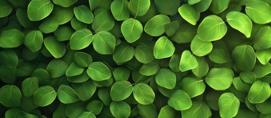 Fototapete - Lush green leaves layered densely create a vibrant texture over a soft gradient background reflecting natural beauty and tranquility.