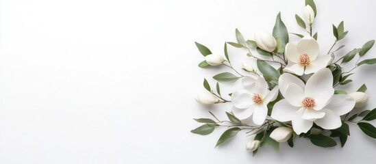 Leinwandbilder - Magnolia flower bouquet featuring large white blossoms and green leaves, arranged elegantly on a soft white background, showcasing nature's beauty.