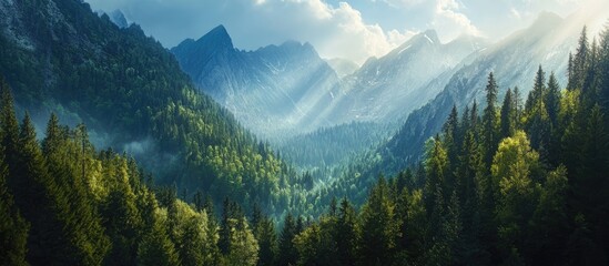 Fototapete - Stunning aerial view of lush green forests and majestic mountains with sunlight rays piercing through clouds creating a serene nature landscape