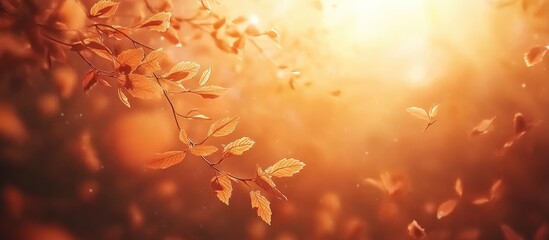 Wall Mural - Soft golden sunlight filters through blurred autumn leaves, creating a warm, inviting fall background with shades of orange and yellow.