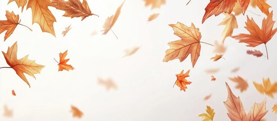 Leinwandbilder - Autumnal banner featuring a cascade of vibrant orange and yellow maple leaves against a soft white background, creating a serene fall atmosphere.