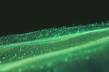 Fototapete - Bright green texture showcasing dense grass against a dark background