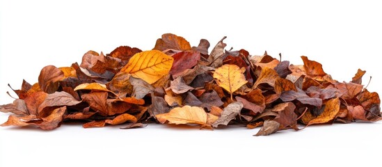 Aufkleber - Colorful pile of dried autumn leaves in shades of orange, yellow, and brown isolated on a white background showcasing seasonal beauty and texture.