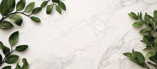 Leinwandbilder - Minimalist flatlay of a blank white business card on a light marble background with dark green leaves positioned diagonally from corners